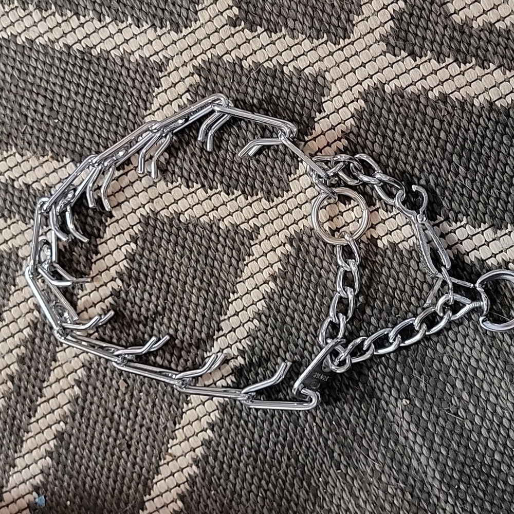 Prong collar with quick release